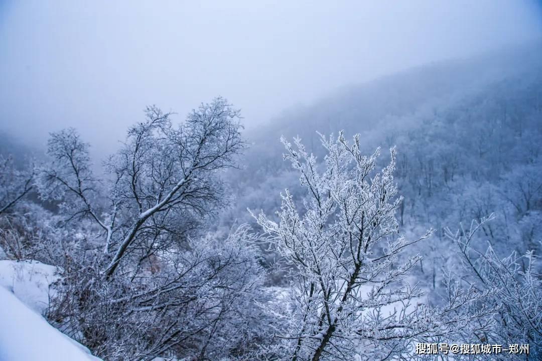 塞尔达：荒野之息