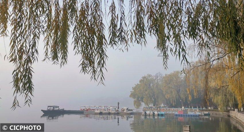 生石花开花后什么时候还会再开游戏画面