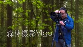 逃离受损的城堡
