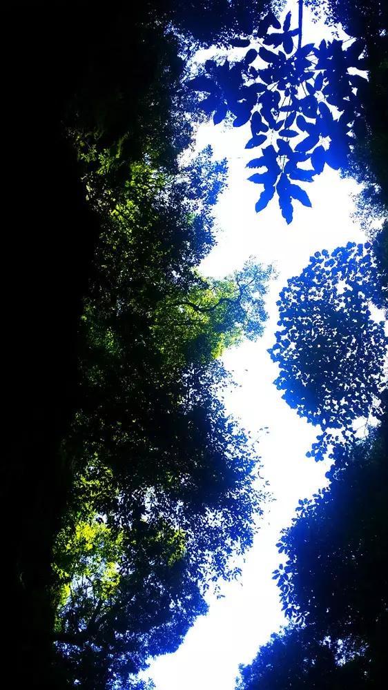 白石溪畔屋场美