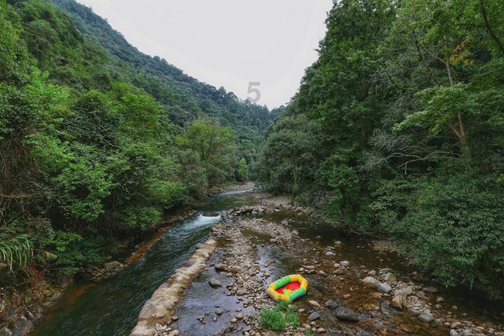 晚上失眠的人怎么办？游戏画面