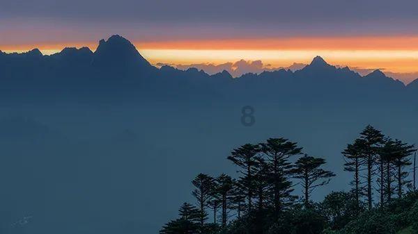 屠龙破晓