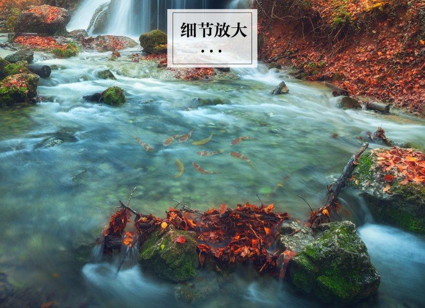 新春走基层|“电管家”上门服务 让返乡人亮堂过年