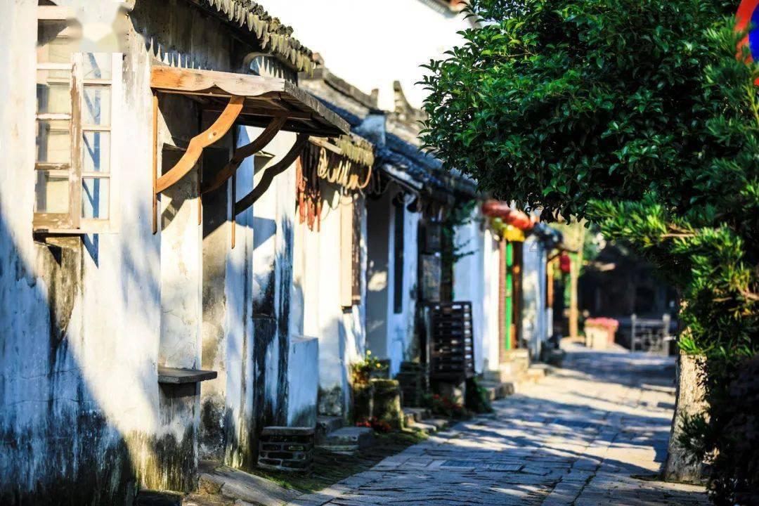 以快制胜 开年加速跑