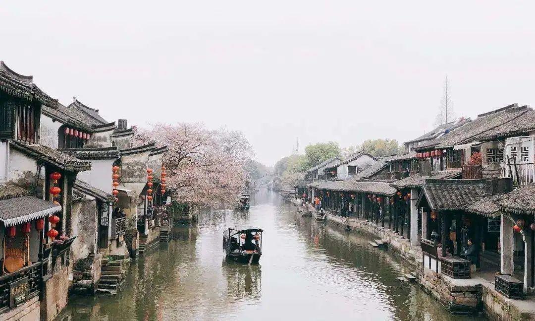 龙虎山道教学院分数线游戏画面