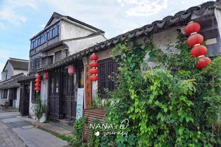 逃离大犀牛出没地