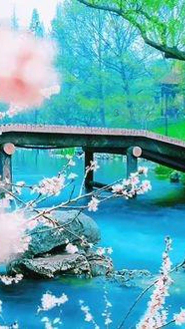 格斗战机